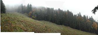 Herbstliche Bergwiese am Uetliberg