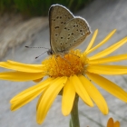 26.7.: Besuch