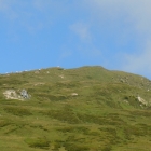 29.7.: Kuhalp