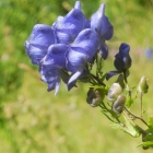 2.8.: Diese Farbe!