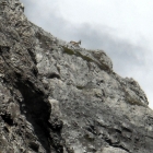 3.8.: Der Nationalpark ist kein Zoo