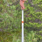3.8.: Bär