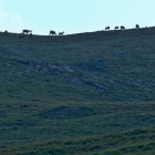 6.8.: oben am Horizont