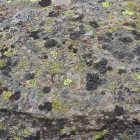 8.8.: Wandgestaltung