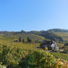 13.10.: Durch die Weinberge