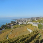 13.10.: Weinberge und kleine Dörfer
