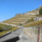 13.10.: Weinberge am Hang