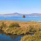 13.10.: Aussicht vom Turm in der Important Bird Area Les Grangettes