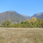 13.10.: Herbstfarben