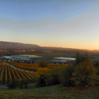 14.10.: Confignon, Abendstimmung III