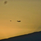 14.10: Flugzeug und Vögel vor Sonnenuntergangshimmel