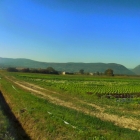 15.10.: Weg durch die Gemüsebau-Landschaft im Grenzgebiet