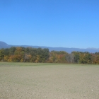 15.10.: Herbstfarben Original