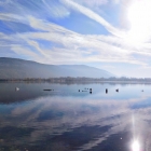 17.10.: Wasserbewirtschaftung: Rhône-Rückstau als Erholungsgebiet Vallée Bleue
