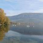 17.10.: Flusslandschaft auch für ...