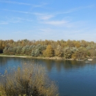 17.10.: Ain-Mündung bei Anthon