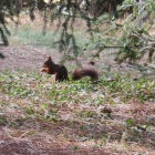 19.10.: Im Parc de la Tête d'Or