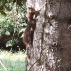 19.10.: Im Parc de la Tête d'Or