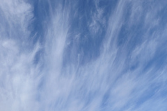 DSCN1786