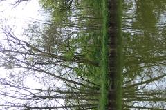 DSCN1864