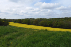 DSCN1912