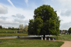 DSCN1918