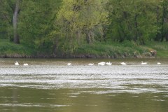 DSCN1943