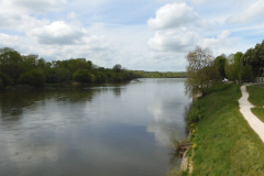 DSCN1954