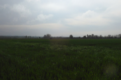 DSCN1985