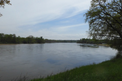 DSCN2004