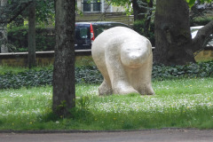 DSCN2076
