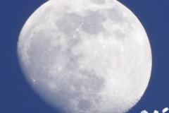 DSCN2192