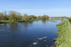 DSCN2209