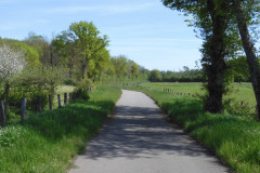 DSCN2259