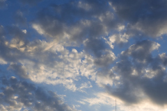 DSCN2273