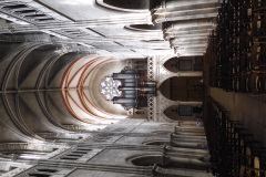 DSCN2291