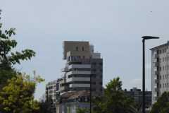 DSCN2350