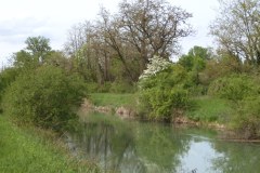 DSCN2357
