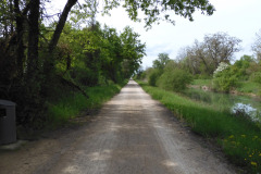 DSCN2358