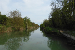 DSCN2361