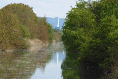 DSCN2369