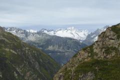 230808_3869