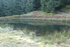 251008_1737