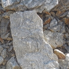 IF