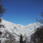 14.2.: Aletschgletscher, Blick aus dem Wald heraus