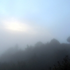 7.10.: Nebelstimmung auf Uto-Kulm