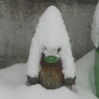 13.1.: Hydrant im Schnee, Weissenberge