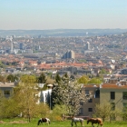 150422_17_ueber_der_stadt.jpg