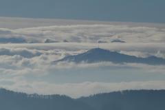 250111_1048_uetli02_rigi_in_nebellandschaft