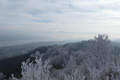 250207_1242_uetli04_mittag